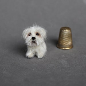 Maison de poupée chien miniature, maltais, COMMANDE PERSONNALISÉE Ooak Needle Chien miniature feutré - Art respectueux de l’environnement - Animaux d’artiste de collection - 1 pouce. 1:12