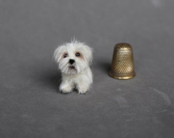 Doll house miniature dog,Maltese, CUSTOM ORDER Ooak Needle Felted miniature dog-eco friendly art-Collectible artist animals- 1 inch. 1:12