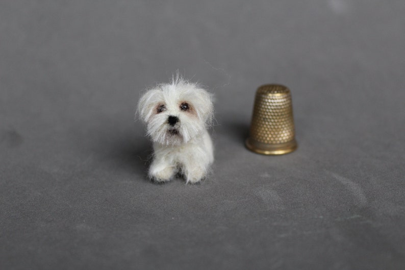 Doll house miniature dog,Maltese, CUSTOM ORDER Ooak Needle Felted miniature dog-eco friendly art-Collectible artist animals 1 inch. 1:12 image 1