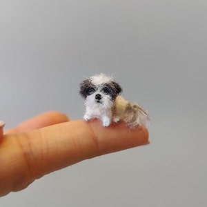 Tiny Shih Tzu puppy-sitting needle felted dog 1:24-12 scale- miniature essence of a real pet-Collectible artist animals-dollhouse half inch