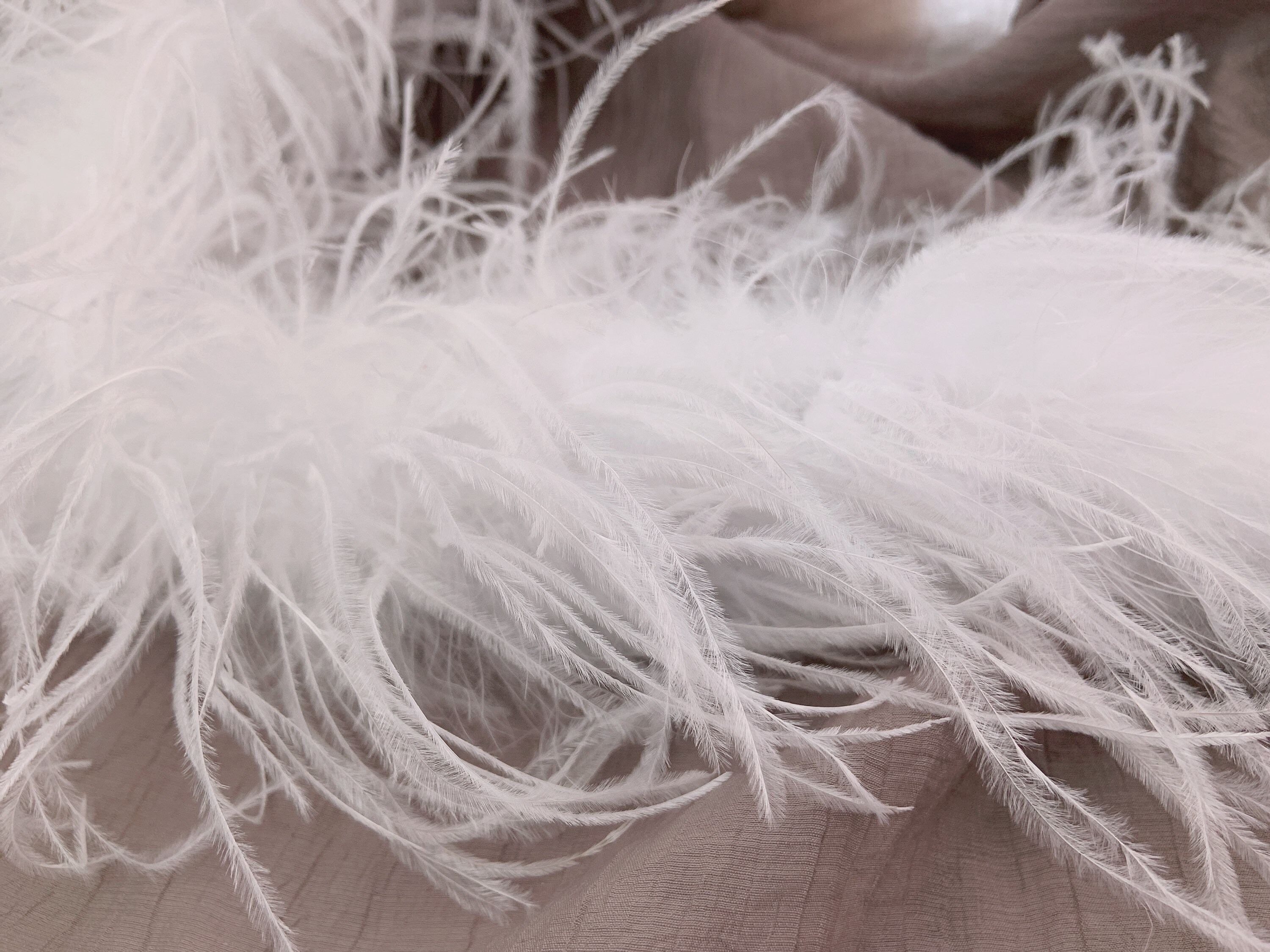 Ostrich Feather Bow Etsy
