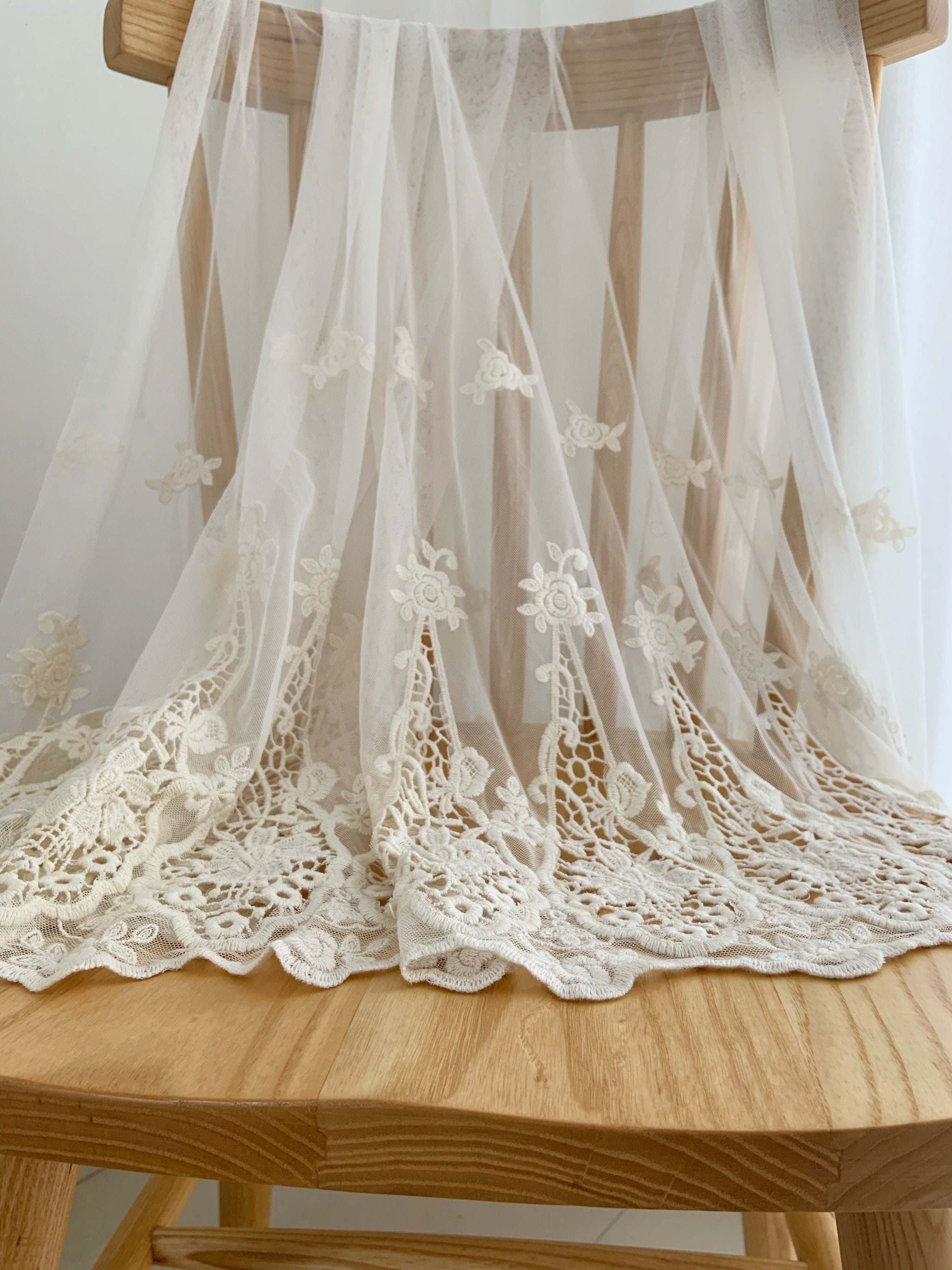 Ivory Embroidered Tulle Lace Fabric With Eyelet Florals , Beige