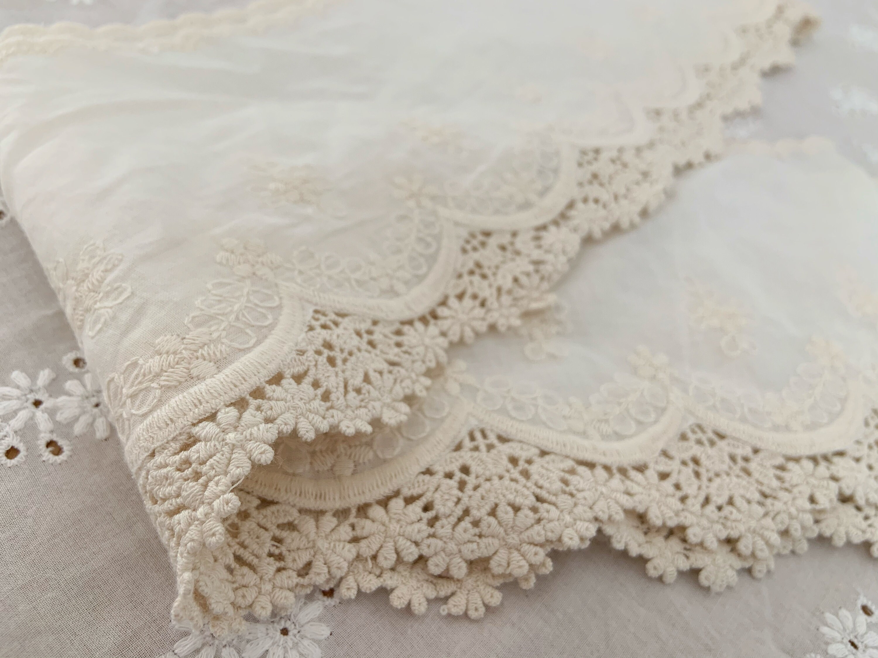 Off White Natural Cotton Lace Trim, Lace-bordered Cotton Batiste/voile,  Cotton Lace Trim With Florals, Cotton Eyelet Lace Trimming 