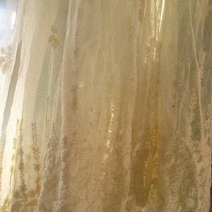 May include: White lace curtain with a delicate floral pattern. The curtain is sheer and translucent, allowing light to shine through.