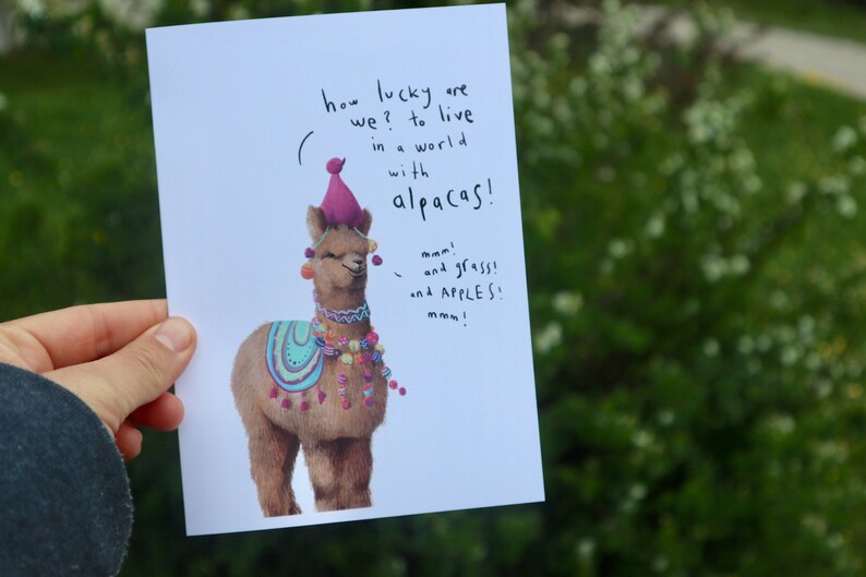 a world with alpacas