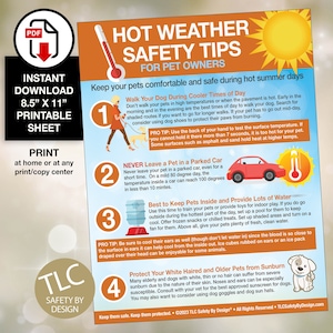 Downloadable PDF 8.5 x 11 Hot Weather Summer Safety Tips for Pets Dogs Cats