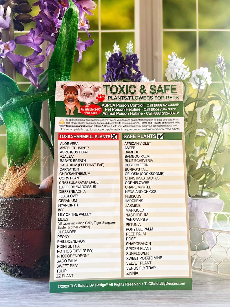 Magnetic List Chart of Toxic & Safe House Plants Garden Flowers for ...