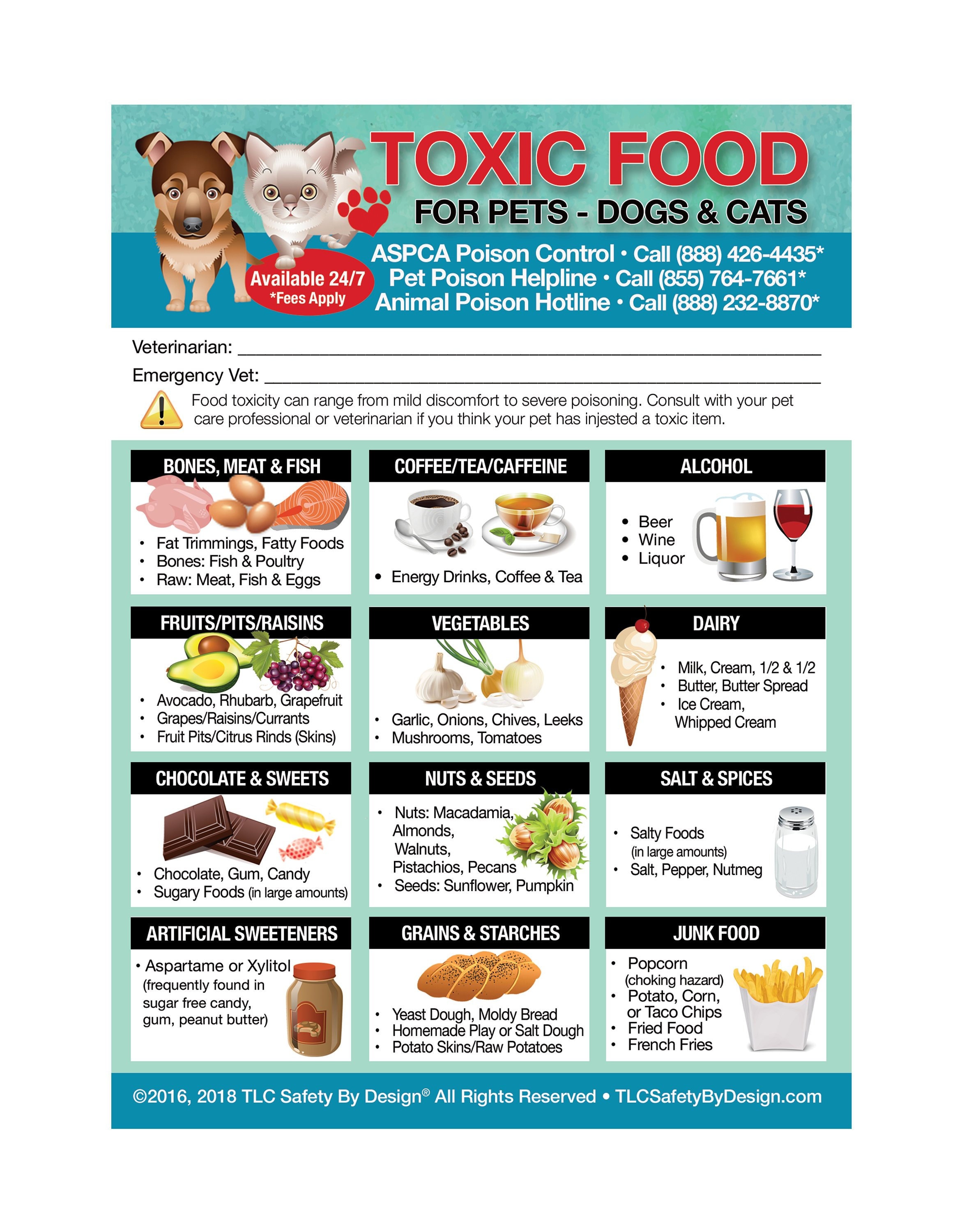 Toxic Foods For Dogs Poster