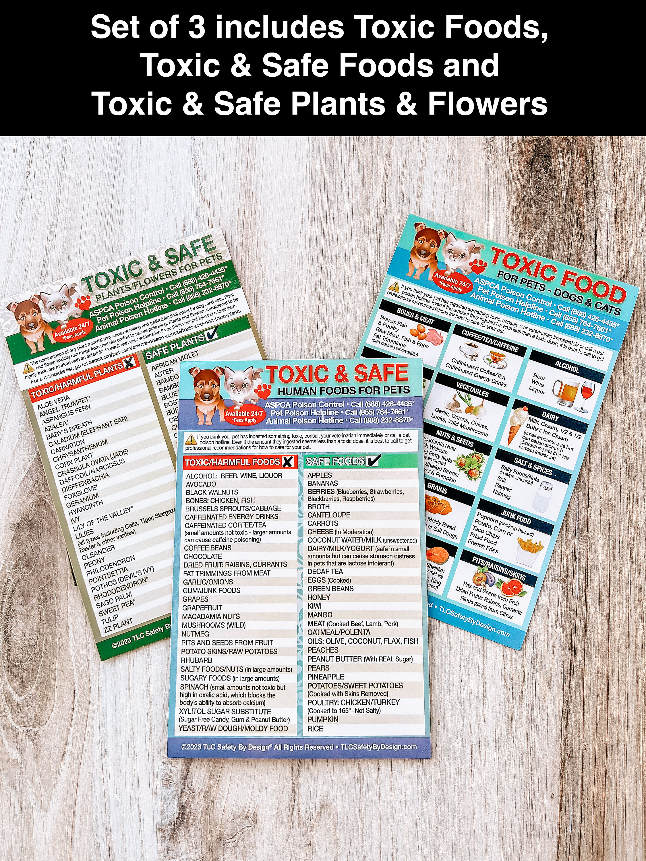 Magnetic List Chart of Toxic & Safe House Plants Garden Flowers for ...