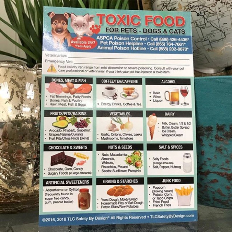 The World's Most Dangerous Foods For Dogs & Cats Fridge Etsy