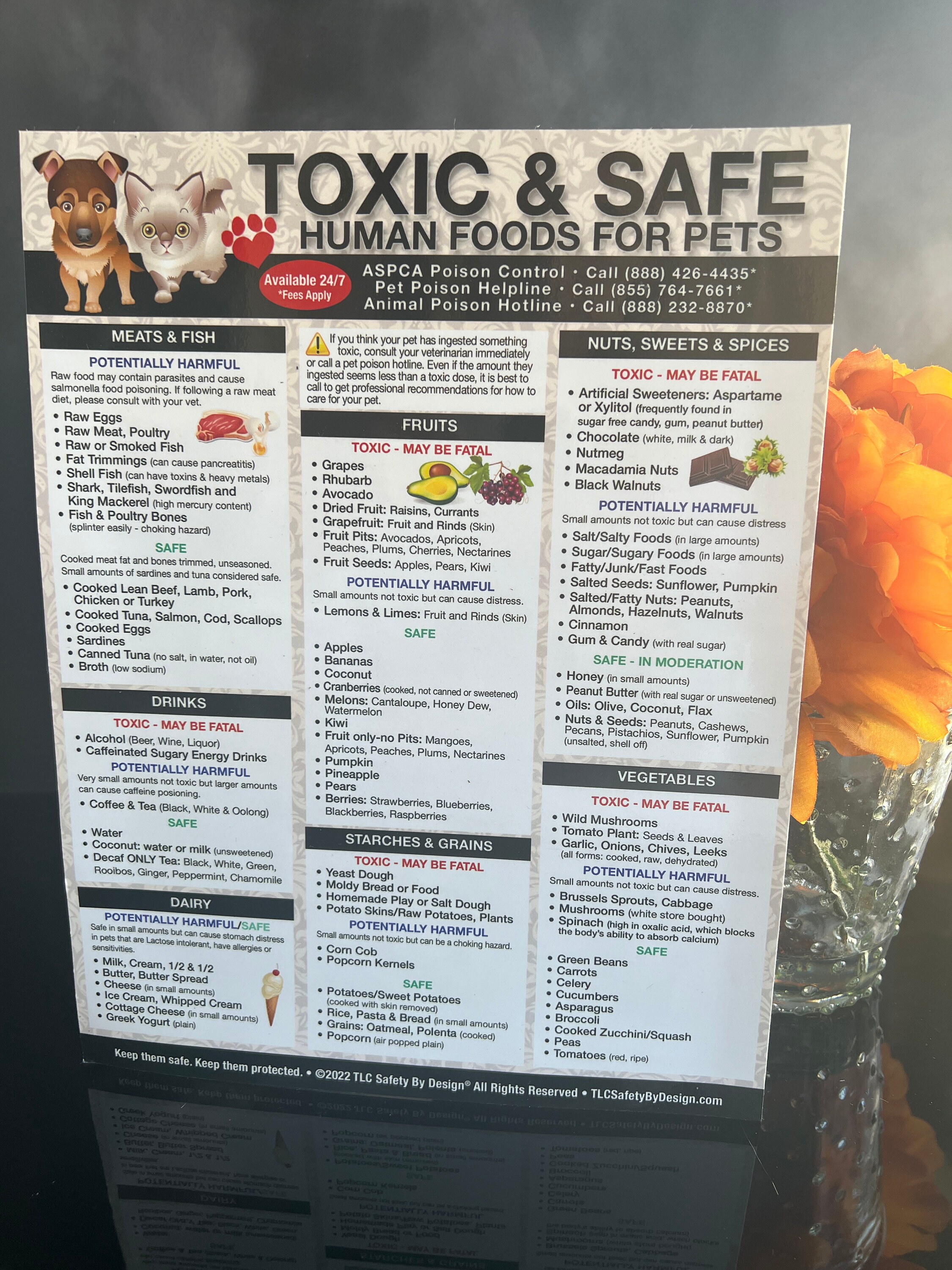Premium 8.5 X 11 Toxic Harmful and Safe Foods for Pets Fridge Safety