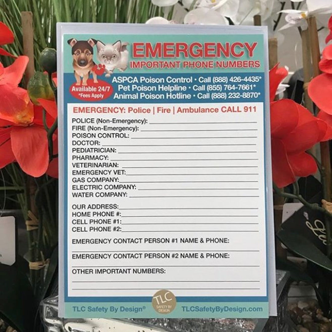 Mobile emergency shops vet near me