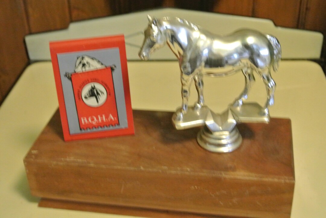 Badger Quarter Horse Association Trophy Horse Trophy Feico Co Etsy