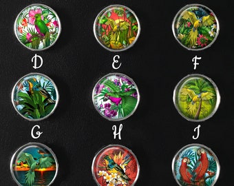 Tropical Bird Snap Jewelry, Tropical Bird Jewelry, Bird Images, Bird Charms, Bird Snap, Bird Jewelry, Parrot Snap 18mm Snap Image, SI-100-A
