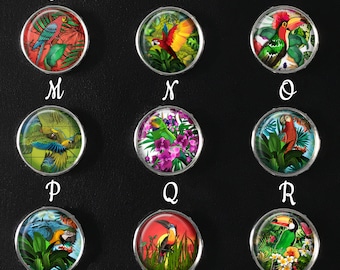 Tropical Bird Snap Jewelry, Tropical Bird Jewelry, Bird Images, Bird Charms, Bird Snap, Bird Jewelry, Parrot Snap 18mm Snap Image, SI-100-B