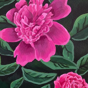 Peonie audaci (ammirazione)
