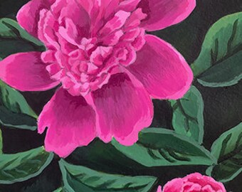 Bold Peonies (Admiration)