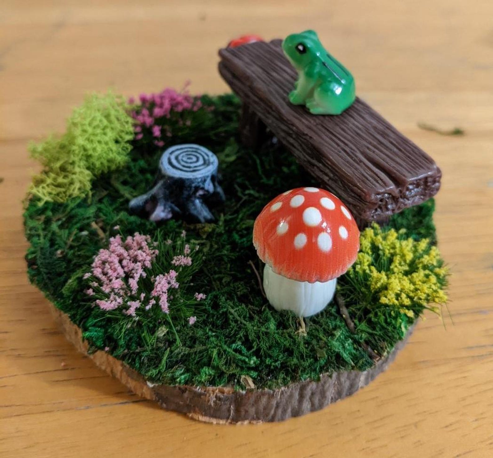 Miniature Fairy Garden With Frog and Ladybug - Etsy