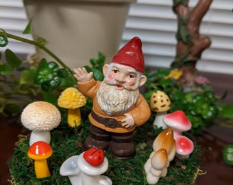 Miniature Gnome Garden With Toadstool Ring