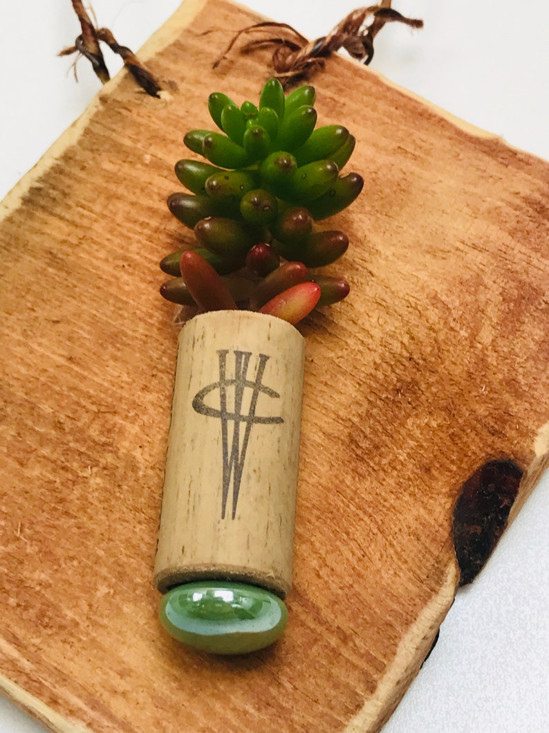 Cork Succulent Plaque