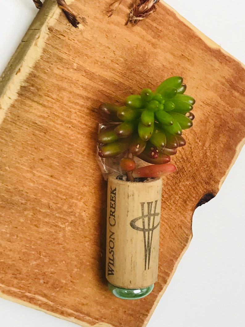 Cork Succulent Plaque