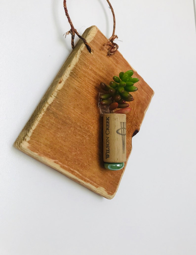 Cork Succulent Plaque
