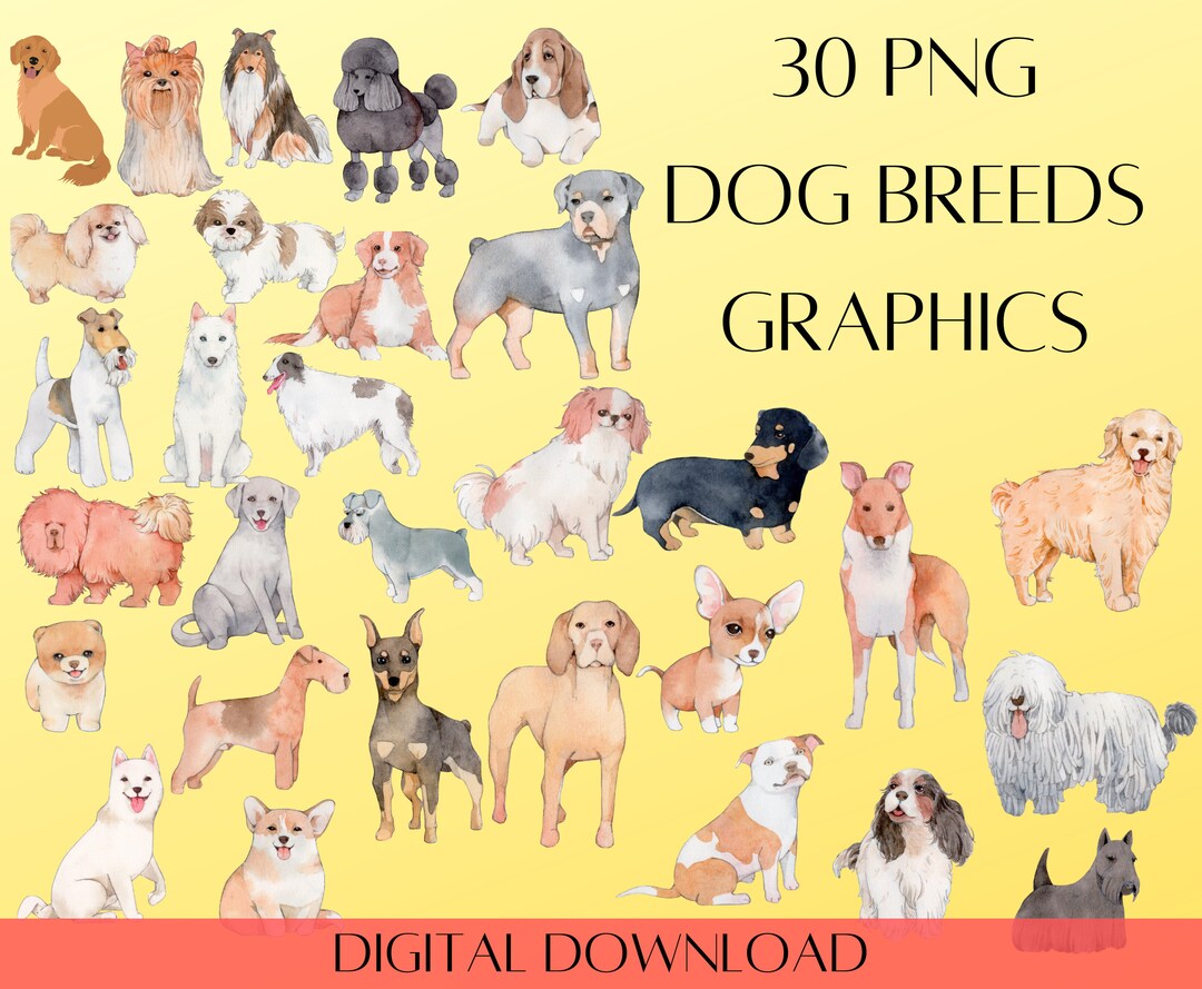 Watercolor Dogs Clipart BUNDLE | PNG Watercolor Illustrated Dogs | Dogs ...
