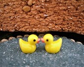 Duck Pair - Fairy Garden - Terrarium - Bonsai - Decor - Decoration - Miniature Gardening - Water Accessory - Craft Supply