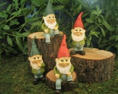 ONE Whimsical Gnome - Fairy Garden - Miniature Gardening - Succulent - Terrarium - Decoration - Decor