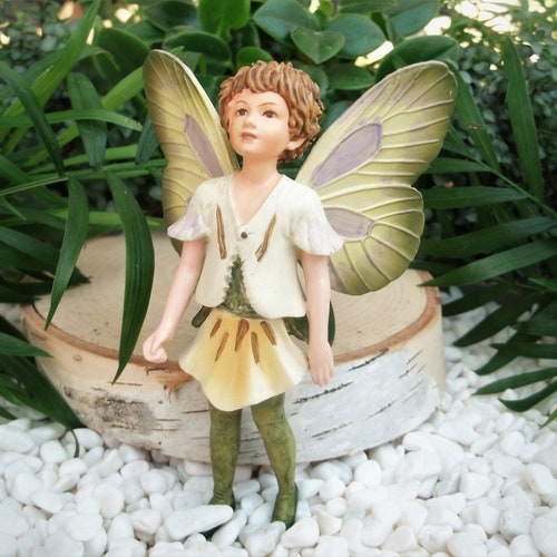 Elderberry Flower Fairy NEW in Box Cicely Mary Barker Etsy