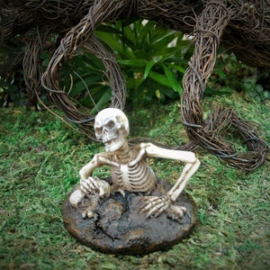 Peut inclure: Une figurine de squelette blanc assise dans un monticule de terre brune, entour&eacute;e de mousse verte et de vignes brunes.