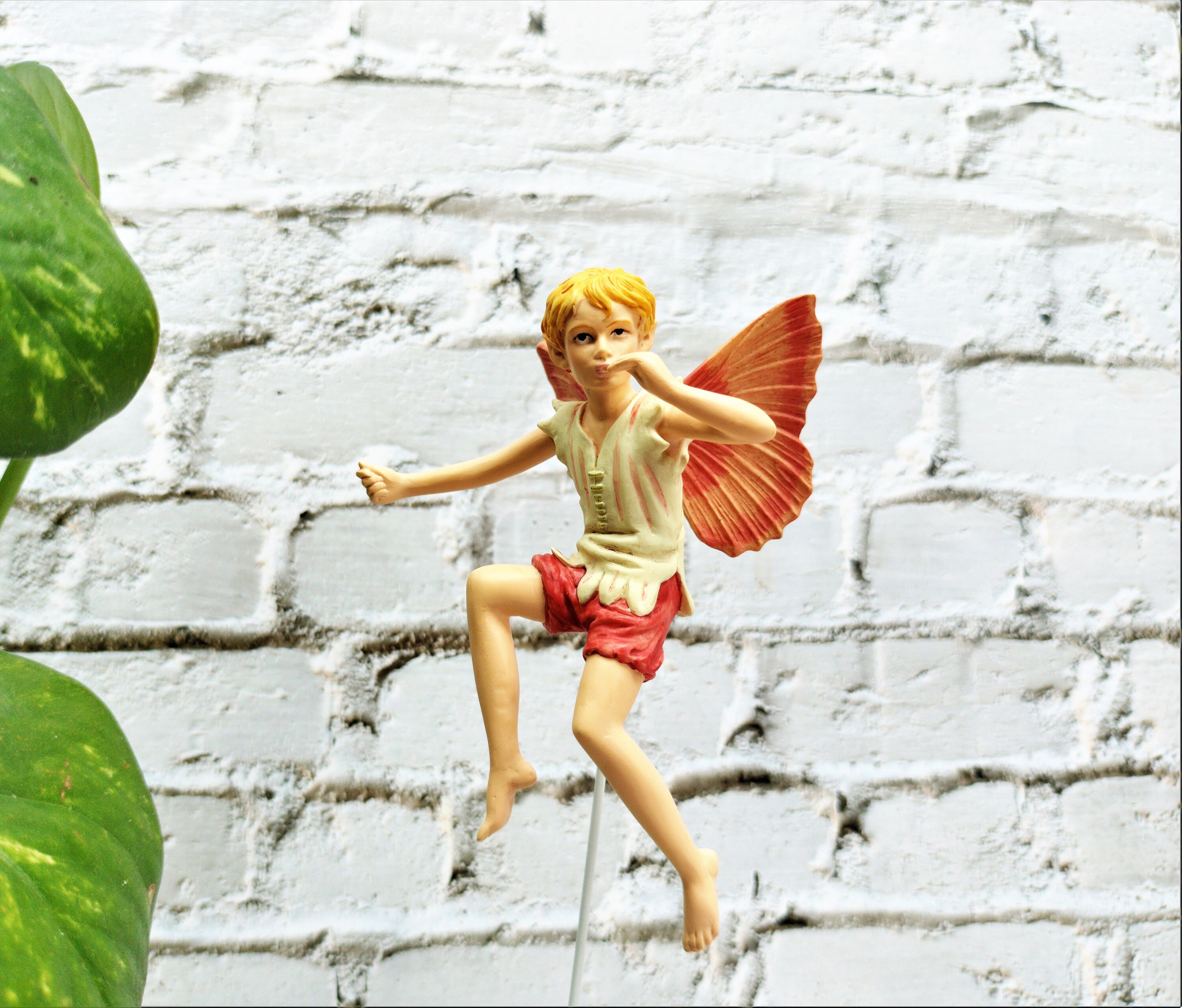 Cicely Mary Barker Flower Fairies - Etsy