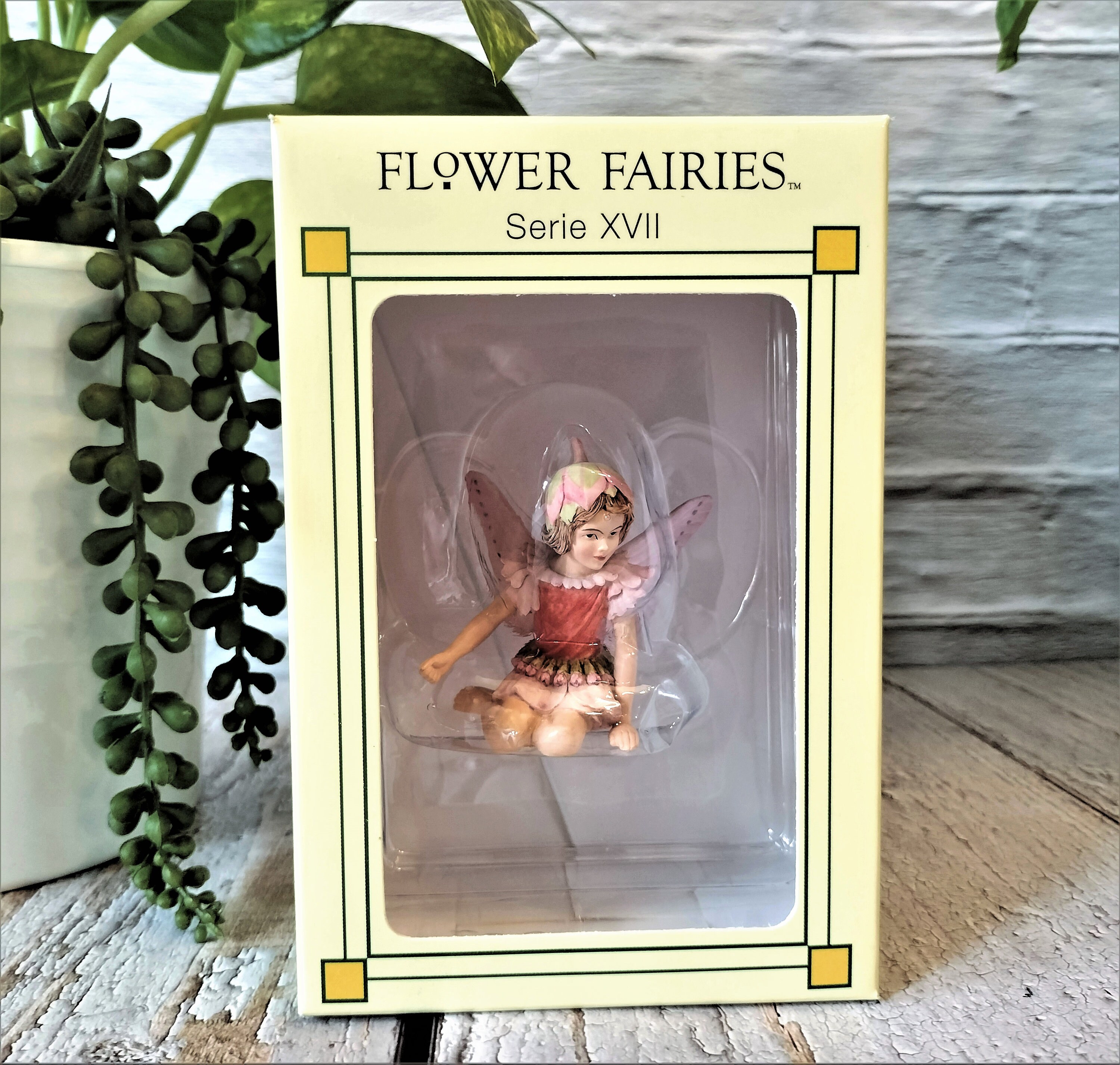 Fairy Lady 17本 まとめ売り Fairy Lady 17本 まとめ売り 歴代