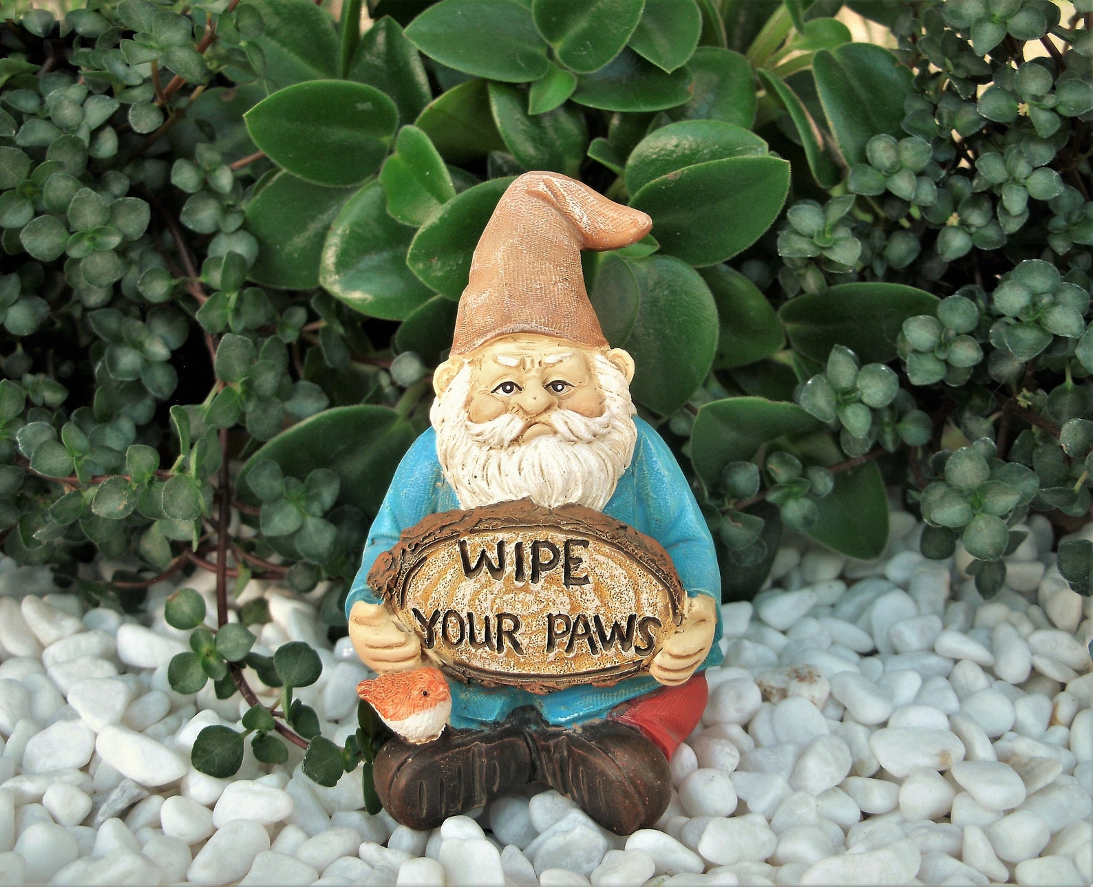 grumpy dwarf garden gnome
