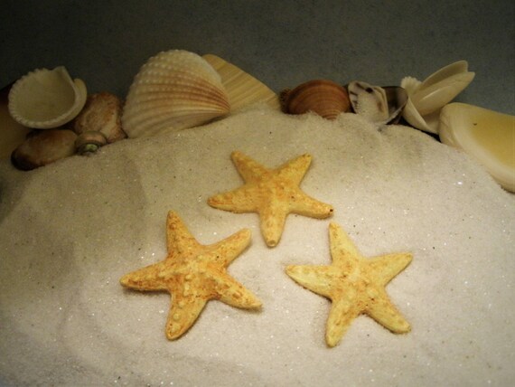 Dollhouse Miniature Set of 3 Real Miniature Starfish