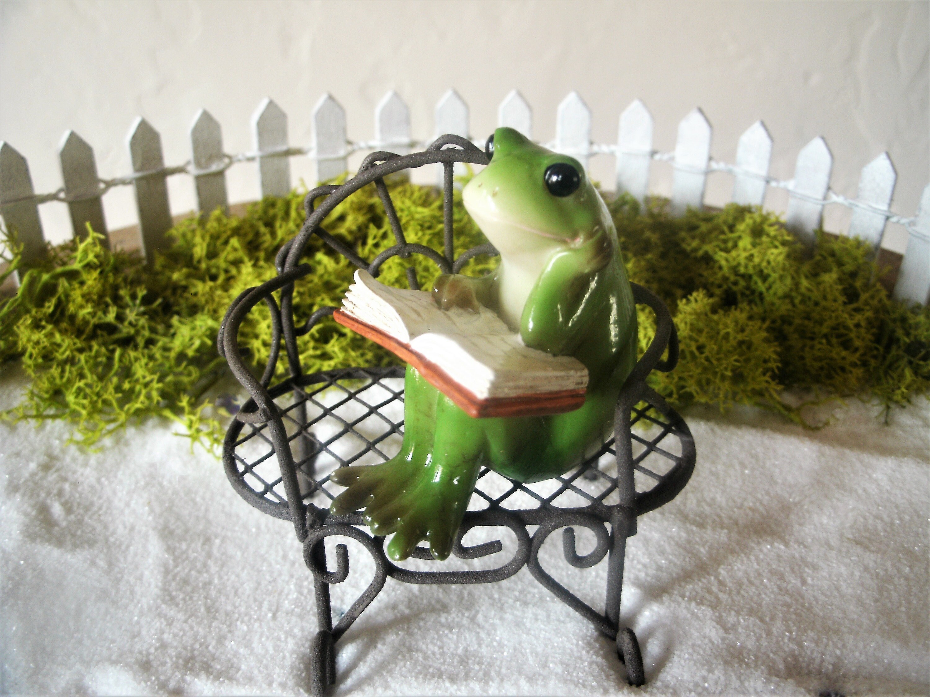 Reading Frog - Fairy Garden - Terrarium - Spring - Summer - Pond - Mi…