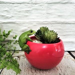 3x Flower Pot Hugger Frog Hanger Resn Flower Pot Hanger Set C - Etsy