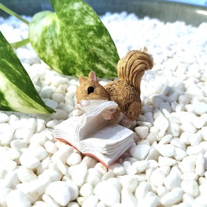 1 1/2" MINI Reading Squirrel - Fairy Garden - Terrarium - Miniature Garden - Bonsai - Succulent Garden Decoration - Figurines