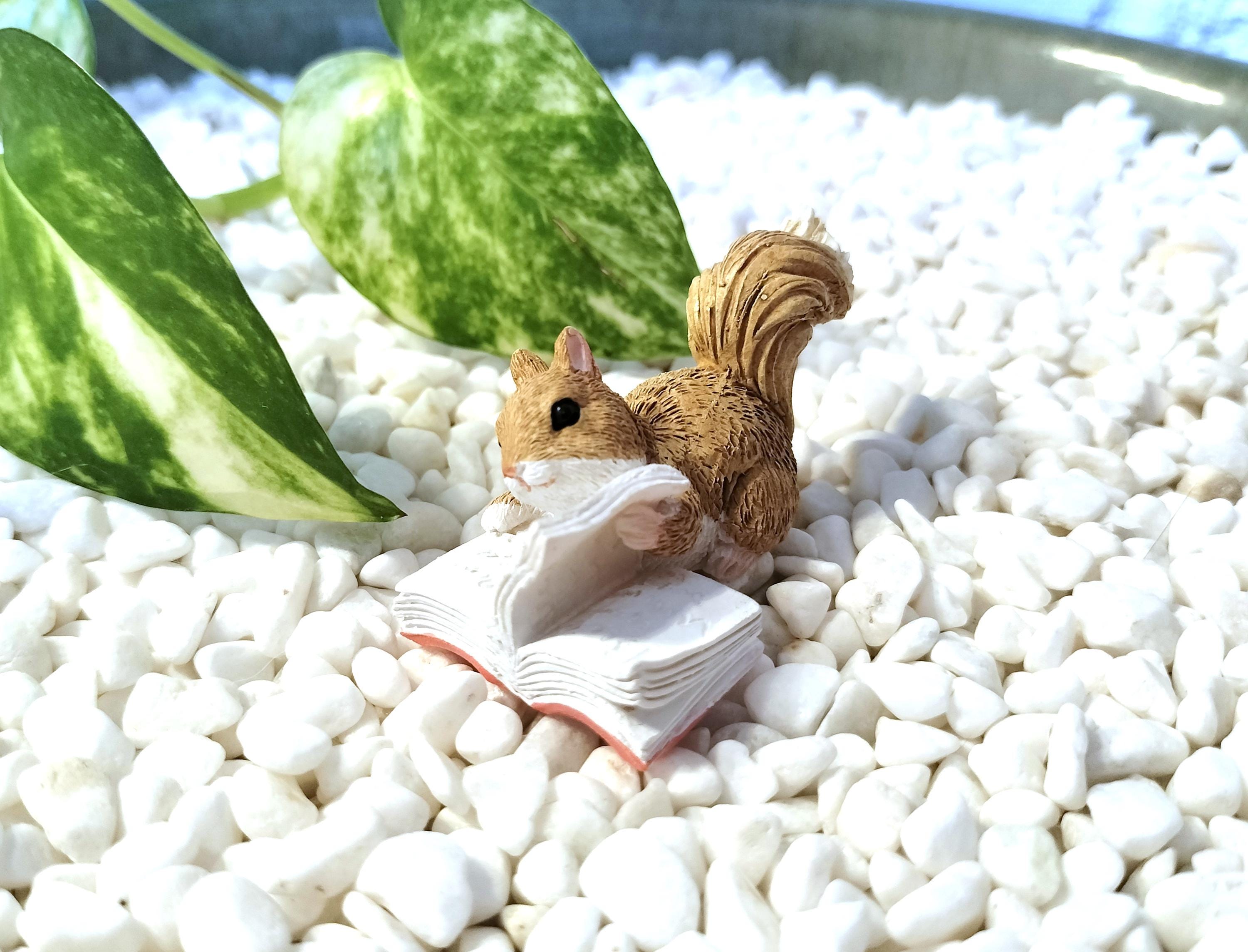 1 1/2" MINI Reading Squirrel - Fairy Garden - Terrarium - Miniature Garden - Bonsai - Succulent Garden Decoration - Figurines