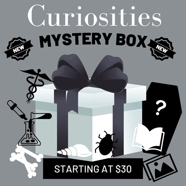 Curiosities Mystery Box | Gifts for Weirdos | Surprise Me Gift | Unusual Christmas Gift | Victorian Antiques Medical Funerary Oddities