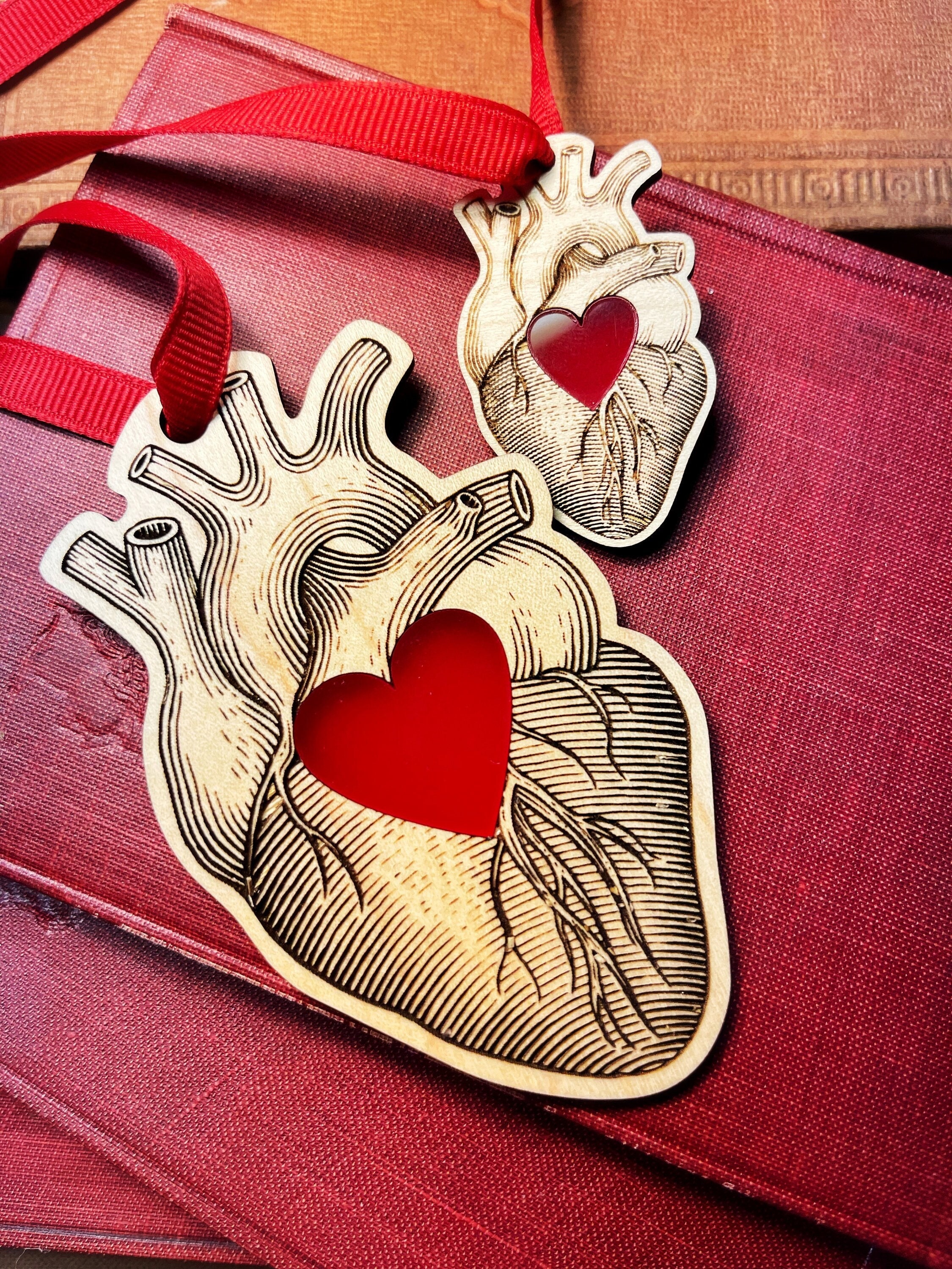 Anatomical Heart Ornament - 4 INCH - Heart Symbol Decoration - Etsy