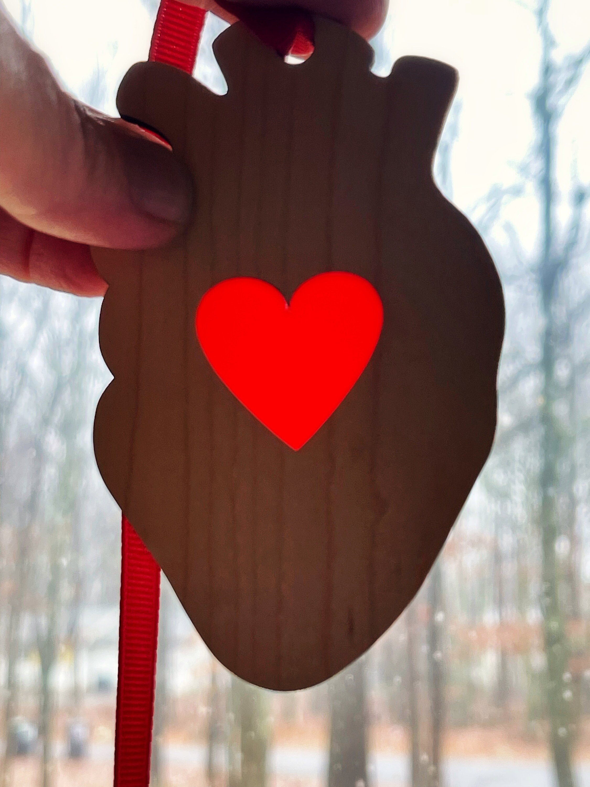 Anatomical Heart Ornament - 4 INCH - Heart Symbol Decoration - Etsy