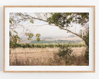 Sonoma Valley Photography, Framed vineyard art print Northern California grapevines wine country photo dining bar art winery wine lover gift