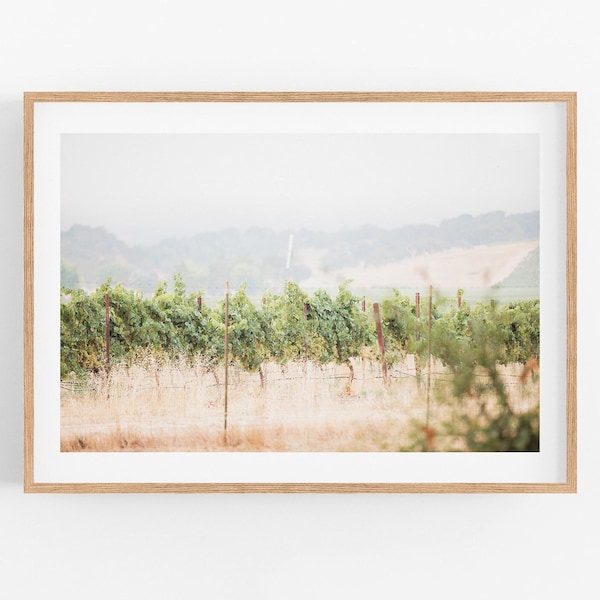 Sonoma Valley Photography, Framed vineyard art print Northern California grapevines wine country photo dining bar art winery wine lover gift