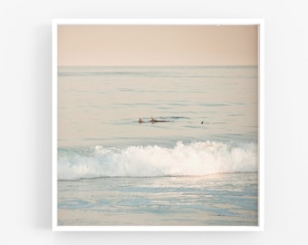 Dolphin Photography Art Print, Ocean Print, Soft Beach Photography California Surf Coastal Decor Surf Pink Blush Teal Sea Unframed South Bay