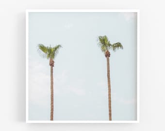 Palm Tree Photography, Palm Springs Art Print, Mid Century Modern Decor, Wall Art, Beach, Square Photo  Retro, California Desert Boho Decor