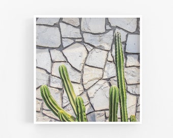 Palm Springs Cactus Art Print, Ace Hote Photographyl, Mid Century Modern Decor, Travel Square Photo Retro, California Desert Boho Wall Decor