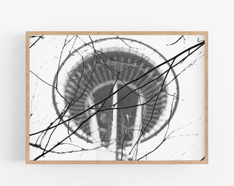 Seattle Photography, Black and White Seattle Print, Space Needle, Travel, City Wall Art, City Prints, Downtown Seattle Photo Art Print