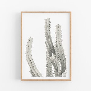 Cactus Photography, Pastel Cactus Wall Art, Desert Decor, Boho Southwest Decor, vertical Desert Wall Art Modern Cactus Print  Palm Springs