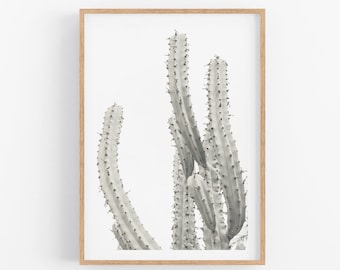 Cactus Photography, Pastel Cactus Wall Art, Desert Decor, Boho Southwest Decor, vertical Desert Wall Art Modern Cactus Print  Palm Springs